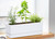 D'vine Dev 2-Pack Rectangular Planters, 12 x 4.5 in, White, 76-X-A-2