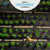 Super Geotextile Professional 5oz Geotextile Weed Barrier Fabric - Heavy Duty Landscape Fabric for Gardening, Landscaping, Weed Fabric (3x100)