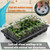 Mr. Pen- Seed Starter Tray Kits, 10 Pack, Total 400 Cells