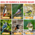 Sneaky Mango - Raw Out of Shell Peanuts - 10 Pound - Shelled Peanuts for Birds – Wildlife Quality - Food for Squirrels, Deer, Birds, and Other Wildlife Animals – Grown in The USA
