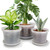 HKKZYT 8/10/12 Inch Clear Nursery Pots with Drainage and Sacuers, 15 Pack Plastic Pots for Plants Indoor Outdoor, Variety Large Clear Pots for Flowers, Succulents (8/10/12inx5pcs)