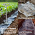 240Pcs 8 Gauge 6 Inch Top Galvanized Landscape Fabric Pins Stakes