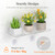 Lifewit 6" Extra Wide & Strong Window Plant Shelves with Suction Cup 3 Pack