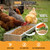 BENEYUMI Dried Mealworms 10LB, High-Protein Poultry Treats & Wild Bird Food