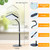 FECiDA Bonsai Grow Light, Table Grow Lights for Indoor Plants Collection