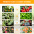 FECiDA Bonsai Grow Light, Table Grow Lights for Indoor Plants Collection