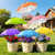 Twintaogo 6 Pcs Plant Umbrellas for Outdoor Plants, 2/3/4/6 Pcs Available, Potted Garden Bedst Umbrella Shade with Adjustable Angle to ‌Defend Plants From Direct Sunlight