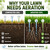 Manual Core Aerator Lawn Tool with 4 Hollow Tines, 3.94-Inch Plug Aerator