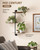 GENTINGBRO Window Plant Shelves 3-Tier Rotating Plant Stand Industrial Window Plant Shelf Wood