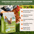 Chicken Coop Refresher - 20 Pounds: All-Natural Odor Eliminator, Moisture Absorber, and Ammonia Neutralizer - Deodorizer,Chicken Coop Accessories for Chickens Run- Remove Smell of Chicken Coops