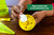 RESCUE! Reusable Yellowjacket Trap - 2 Pack + 2 Four-Week Refills