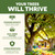 10-10-10 Fertilizer for Trees & Shrubs, Balanced NPK + Iron & Micros, 1 Gal