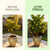 10-10-10 Fertilizer for Trees & Shrubs, Balanced NPK + Iron & Micros, 1 Gal
