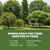 10-10-10 Fertilizer for Trees & Shrubs, Balanced NPK + Iron & Micros, 1 Gal