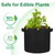 JERIA 24-Pack 10 Gallon Nonwoven Grow Bags, Plant Grow Bags，Heavy Duty Aeration Fabric Pots with Durable Handles