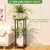 Lilybud--lily Plant Stand Indoor, 41'' Extra Tall Wood Plant Stands Heavy Duty Pedestal Stand for Indoor Outdoor, Modern Corner Flower Stand for Patio, Living Room, Balcony