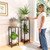 Lilybud--lily Plant Stand Indoor, 41'' Extra Tall Wood Plant Stands Heavy Duty Pedestal Stand for Indoor Outdoor, Modern Corner Flower Stand for Patio, Living Room, Balcony