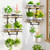 LASZOLA Floating Plant Shelves Holder Wall Mounted Indoor, 2 Pack Brown