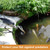 PACETAP 20 x 30 Ft Koi Pond Netting Kit, Heavy Duty Pond Netting Mesh Net Cover for Leaves, Protecting Koi Fish from Birds, Cats -Stakes Included