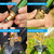 Wexo Palindrog Impact Sprinkler on Tripod Base, Heavy Duty Adjustable Zinc Sprinkler Head for Lawn Yard Garden, 360 Degree Large Area Irrigation, 3/4" Connector Extension Legs Flip Locks