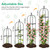 2 Pack Garden Obelisk Trellis for Climbing Plants, 71" Metal Rustproof Plant Support Rose Trellis, Tower Potted Cages for Flowers Fruits Vegetable Vines Indoor & Outdoor, Black(4 Tiers)