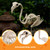JOYIN Flamingo Skeleton Halloween Decorations 27.6 Inch Tall Spooky Flamingo Posable Animal Skeleton with Movable Joints for Halloween Indoor Outdoor Yard Garden Lawn Patio Prop Decor