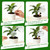 26oz Extra Large Plant Watering Globes, Self Watering Bulbs and Water Globes for Indoor Outdoor Potted Plants, Vacation Watering While Away 4-Pack