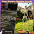 Skeleton Stand for Yard, Hidden Ground Stake for Halloween Skeletons(2Pack)