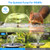 POPOSOAP 8W Solar Fountain Pump with Built-in 3600mAh Battery, Solar Powered Bird Bath Fountain with Dry-run Protection & Double-layer Nozzles 5Ft Tubing for Pond, Bird Bath, Backyard Water Feature