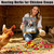 HSJZYDSM 42 oz Chicken Nesting Herbs Flowers Vacuum-Packed,2.6 lb Premixed 7 Dried Herbs Natural Nesting Box Herbs for Freshening Coop Chicken Dust Bath Increase Egg Production