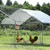 PETSFIT Square Chicken Roosting Perch, 55"x40", 8-10 Chickens