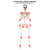 Daricano Halloween Skeletons Decorations - 5.4FT Life Size Posable Skeletons, Realistic Plastic Full Body Skeletons for Outdoor Yard Patio Lawn Garden Decor