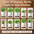 Seedboy Organic Non-GMO Herb Seeds for Planting (Herb Garden Starter Kit)