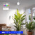 Barrina TR40 Hanging Plant Lights for Indoor Plant, 40W 5000K Full Spectrum