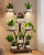 HXJLJY Indoor Plant Stand with Grow Lights, 59" Tall Corner Plant Stand for Multiple Plants, 7 Tiered Plant Shelf, Metal and Wood Plant Rack for Living Room, Bedroom, Home Decor, Brown