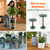 2 Pack Plant Risers for Inside Pots, 7.5-12" Rise Plastic Planter Inserts