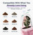 Vandorelle 12 Pack 2.5" Small Pink Self Watering Pot with Humidity Dome for Indoor Plant,Clear Seed Starter Cup,Tissue Culture Acclimation Kit,Alocasia Corm Propagation,African Violet,Cutting,Seedling