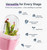 Vandorelle 12 Pack 2.5" Small Pink Self Watering Pot with Humidity Dome for Indoor Plant,Clear Seed Starter Cup,Tissue Culture Acclimation Kit,Alocasia Corm Propagation,African Violet,Cutting,Seedling