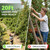 ARTIPOLY 20FT Reach Telescoping Fruit Picker, 4-12FT Adjustable Aluminum Pole with Basket, Lightweight Heavy Duty Tool for Harvesting Apples Mangoes Avocados Pears Lemons