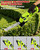 Cordless Hedge Trimmer，2-in-1 Bush Trimmer，Cordless Grass Shear & Shrubbery Trimmer with Dual-Action Blade Cutting Capacity,Hedge Shear with 2 PCS Rechargeable Battery and Charger for Garden,Lawn.