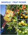 SKGPOLE 30FT Reach Fruit Picker, 5-24 Foot Sturdy Aluminum Telescoping Fruit Picker Extension Pole with Metal Twist-on Basket, Suit for Apple Pear Lemon Mango Guava Orange Avocados Tree Fruit Picking