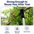 Tree Branch Support Pole & Crutch – Protect Limbs from Breaking (2-Pack)