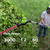 Greenworks 24V 8 in Pole Saw Hedge Trimmer Kit, 2.0 Ah Battery and Charger