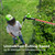 Greenworks 24V 8 in Pole Saw Hedge Trimmer Kit, 2.0 Ah Battery and Charger