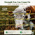 Aclastool Electric Fence Wire, 3500ft 1067m, Polywire for Portable Livestock Fencing, 6 Stainless Steel Strands for Reliable Conductivity and Rust Resistance, UV Resistant