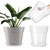 Baderke 3 Pack Clear Nursery Pot,13.65 Inch