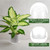 Baderke 3 Pack Clear Nursery Pot,13.65 Inch