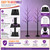 5FT LED Lighted Halloween Tree 2-Pack Orange and Purple Lights Décor