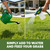St Augustine Grass Fertilizer, Liquid Lawn Food for Thicker Growth, 1 Gal