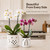 Thriving Thicket Set of 2 White Beige Vintage Owl and Leaves 4.5 + 6 Inch Orchid Pots with Holes, Premium Stoneware Ceramic Orchid Planters for Repotting with Drainage Holes